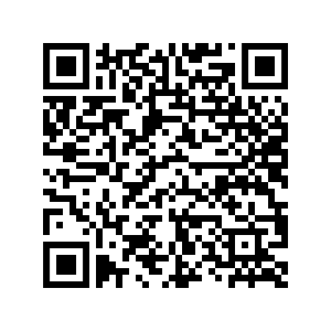 QR Code for Fields - Jacquard Pullover FK5002
